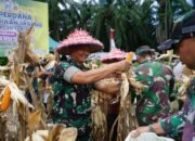 Kodim 0117/Aceh Tamiang Bersama Forkopimda Laksanakan Panen Jagung Perdana “I’M Jagong”