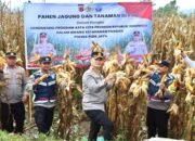 Kapolres Pidie Jaya Dukung Program 100 Hari Kerja Presiden dengan Penanaman dan Panen Jagung di Bandar Dua