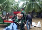 Babinsa Kodim 0103/Aceh Utara Bantu Petani Giling Padi Di Lapang.