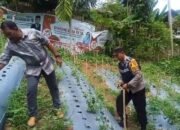Polsek Bandar Dua Ajak Masyarakat Dukung Program Ketahanan Pangan, Optimalkan Lahan Tidur