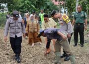 Sinergi Polri dan Masyarakat: Kapolres Pidie Jaya Tinjau Lahan Produktif Binaan Polsek Jangka Buya