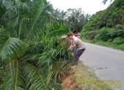 Bhabinkamtibmas bersama Warga Membersihkan Material di Lokasi Longsor di Bahu Jalan