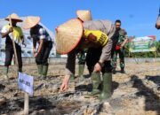 Polres Aceh Tamiang Gelar Penanaman Jagung Serentak 1 Juta Hektar