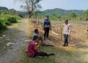 Polsek Meurah Dua Gencarkan Sosialisasi Ketahanan Pangan, Ajak Warga Manfaatkan Lahan Tidur