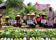 Bersama Bhayangkari, Kapolres Pidie Jaya Launching Program Pangan Lestari untuk Gizi Sehat