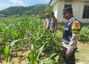 Polsek Panteraja Giat Sosialisasi Ketahanan Pangan, Warga Diajak Manfaatkan Lahan Kosong