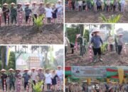 Dukung swasembada pangan nasional,Pemkab Aceh Tamiang tanam padi Gogo di lahan psr