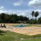 Masyarakat Bergotong royong menjemur padi setelah panen