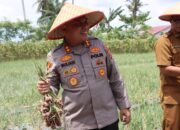 Hadiri Panen Bawang, AKBP Muliadi : Peran Aktif Polri Dalam Hal Ketahanan Pangan Perkarangan Bergizi