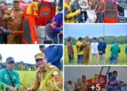 Panen raya padi nasional, bupati ARMIA terima kasih petani Aceh Tamiang