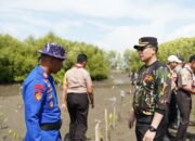 Peduli Lingkungan, HUT Bhayangkara Ke 79 Polres Pidie Tanam 1000 Magrove