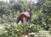 Menjalin Kemitraan dan Silaturahmi Bersama Masyarakat personel Polsek Rantau Sambang Warga