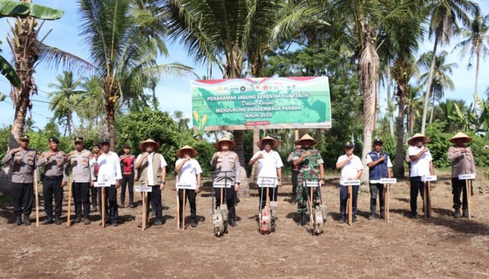 Kapolres Pidie Jaya dan Forkopimda Tanam Jagung Serentak Kuartal IV, Dukung Swasembada Pangan Nasional 2025