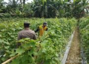 Menjalin Kemitraan dan Silaturahmi Bersama Masyarakat personel Polsek Rantau Sambang Warga