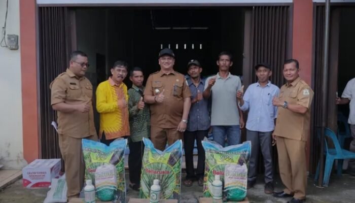 Bupati Armia Serahkan Bantuan Pupuk, Dorong Petani Aceh Tamiang Beralih ke Pertanian Berkelanjutan