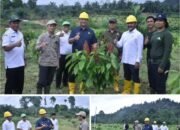 Tinjau Kebun Uji Lapang Klon Kakao, Bupati Aceh Tamiang Sebut Salah Satu Komoditas Unggulan Daerah