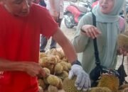 Durian Asal Sibolga Ramai Diserbu Di Aceh Karang Baru Karena Rasanya Yang Mantab.