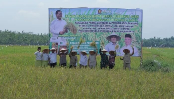 Wakil Gubernur Aceh dan Wakil Bupati Aceh Tamiang Kompak Panen Raya, Bukti Sinergi Pemerintah dan Petani