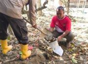 Lumpur Tak Lagi Duka: Kapolda Aceh Dorong Ketahanan Pangan Warga Terdampak Banjir di Aceh Tamiang