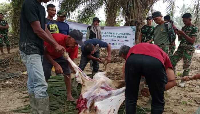 Sapi Peduli Aceh Tamiang: BAZNAS Bekasi Bantu Korban Banjir”