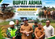Bupati Aceh Tamiang Tinjau Rehabilitasi 712 Hektare Sawah Pascabanjir