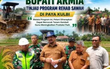 Bupati Aceh Tamiang Tinjau Rehabilitasi 712 Hektare Sawah Pascabanjir