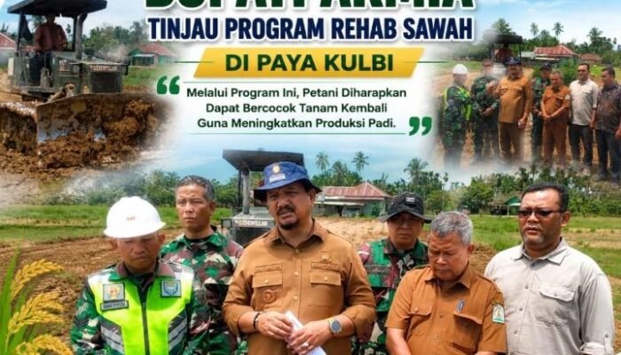 Bupati Aceh Tamiang Tinjau Rehabilitasi 712 Hektare Sawah Pascabanjir