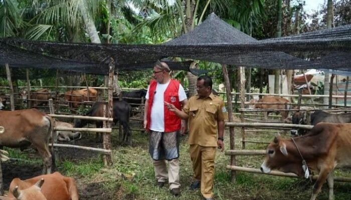 Pemkab Aceh Tamiang Terima 150 Ekor Sapi Kurban dari WEPA untuk Warga Terdampak Banjir