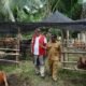 Pemkab Aceh Tamiang Terima 150 Ekor Sapi Kurban dari WEPA untuk Warga Terdampak Banjir