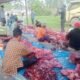 Bupati Aceh Tamiang Pimpin Pemotongan 17 Ekor Sapi Kurban, Daging Disalurkan ke Warga Terdampak Banjir di HUNTARA