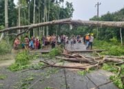 Akses Jalan Lumpuh, Polisi dan Warga Kompak Evakuasi Pohon-Tiang Listrik Roboh