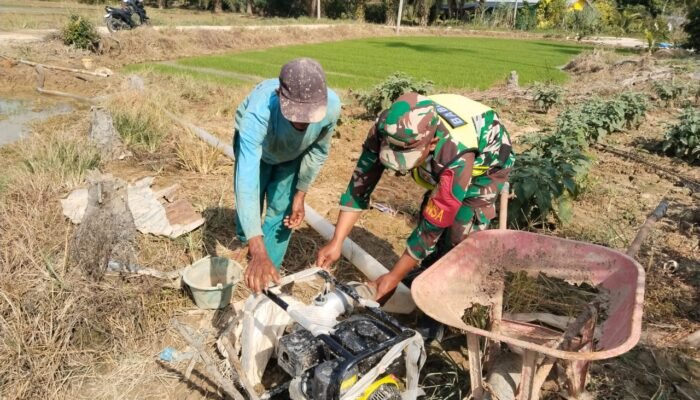 Melalui Mesin Pompa Air, Babinsa Bantu Petani Mengairi Sawah