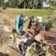 Melalui Mesin Pompa Air, Babinsa Bantu Petani Mengairi Sawah