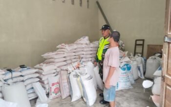 Antisipasi Kelangkaan, Babinsa Sambangi Gudang Padi Cek Stok Gabah