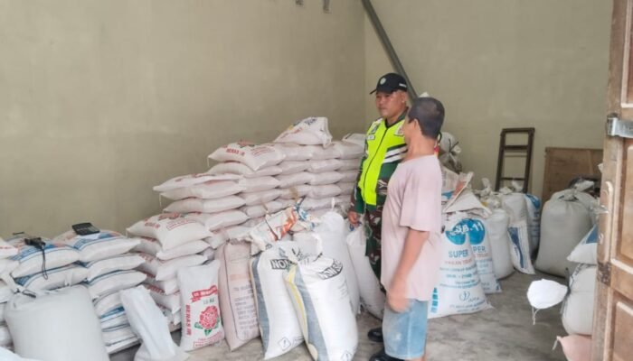 Antisipasi Kelangkaan, Babinsa Sambangi Gudang Padi Cek Stok Gabah
