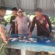 Dukung Konsumsi Protein, Babinsa Monitoring Harga Ikan di Pasar