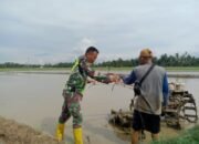 Tangan Tangguh Babinsa di Sawah, Buktikan Mampu Membajak Lahan Seperti Petani