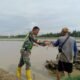 Tangan Tangguh Babinsa di Sawah, Buktikan Mampu Membajak Lahan Seperti Petani