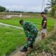 Jelang Musim Tanam, Babinsa Cek Kesiapan Benih Padi Petani