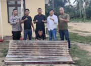 Polsek rantau ungkap kasus pencurian seng, seorang residivis di amankan