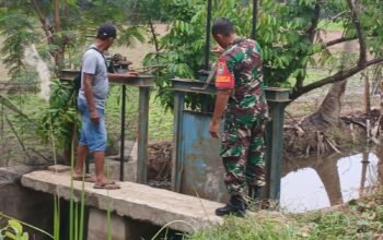 Babinsa Bersama Ketua Poktan Gotong Royong Cek Pintu Air, Pastikan Irigasi Lancar Demi Optimalkan Produktivitas Pertanian