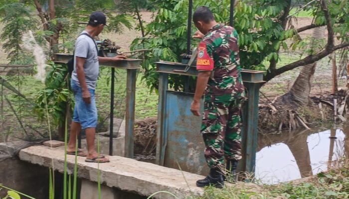 Babinsa Bersama Ketua Poktan Gotong Royong Cek Pintu Air, Pastikan Irigasi Lancar Demi Optimalkan Produktivitas Pertanian