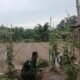 Tingkatkan Hasil Pertanian, Babinsa Dampingi Petani Rawat Tanaman Pare
