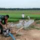 Babinsa Bantu Petani Aliri Sawah dengan Mesin Pompa Air, Dukung Ketahanan Pangan