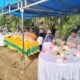 Polsek karang baru monitor kegiatan tanam padi serempak brigadir pangan di kampung sukajadi payabujok