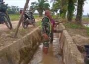 Pastikan Pengairan Lahan Pertanian Berjalan Lancar, Babinsa Bersama Petani Cek Saluran Irigasi