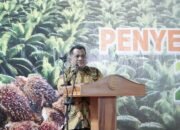 Wakil Bupati Aceh Tamiang Hadiri Penyerahan Penghargaan Jubilaris 25 Tahun PT Socfindo