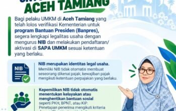 Pemkab Aceh Tamiang Imbau Pelaku UMKM Segera Urus NIB dan Aktivasi SAPA UMKM