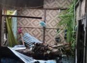 Inafis Satreskrim Polres Aceh Tamiang Bersama Polsek Kejuruan Muda Olah TKP Pohon Tumbang Tewaskan Balita
