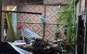 Inafis Satreskrim Polres Aceh Tamiang Bersama Polsek Kejuruan Muda Olah TKP Pohon Tumbang Tewaskan Balita